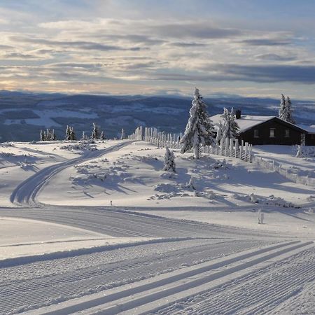 Lostegard Cabins Gol Pokoj fotografie