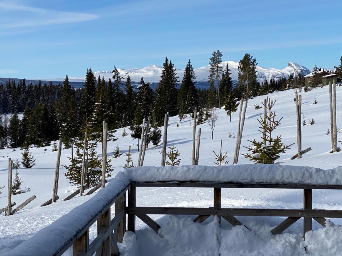 Lostegard Cabins Gol Exteriér fotografie