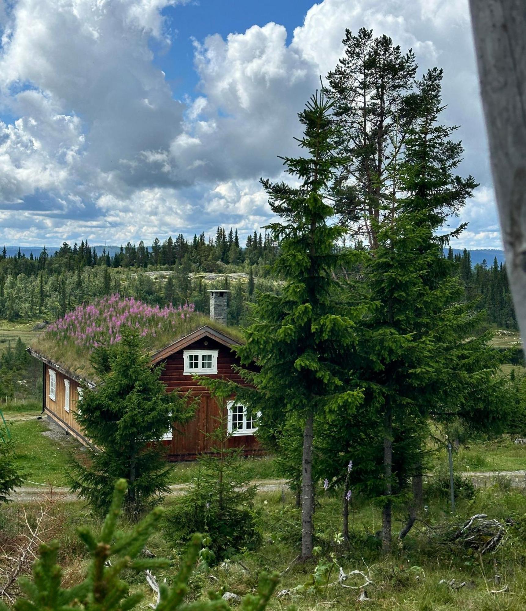 Lostegard Cabins Gol Exteriér fotografie