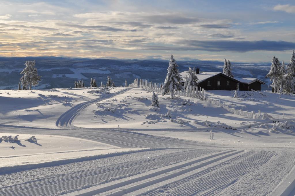 Lostegard Cabins Gol Pokoj fotografie